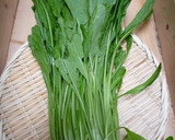 京野菜の定番、壬生菜の切り方　京都カフェ作り方1写真