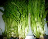 京野菜の定番、壬生菜の切り方　京都カフェ作り方3写真