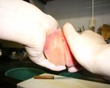 桃のコンポート作り方1写真