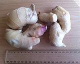 生姜ジャム作り方1写真