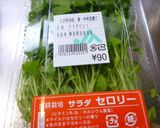 グリーンサラダ作り方5写真
