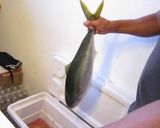 週末漁師〜俺の飴色ブリ大根〜イナダワラサ作り方1写真