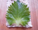 新生姜のきつね巻き作り方3写真