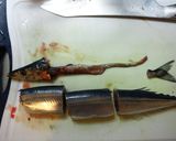 バターが香る！秋刀魚の香味ポン酢煮✿作り方2写真