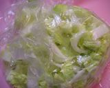 めっけもん♪意外と美味！白菜の塩漬け作り方2写真