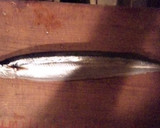 秋刀魚のペペロンチーノ風作り方1写真