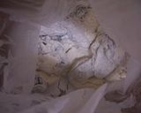 目にいい牡蠣料理作り方4写真