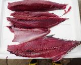 鰹丸ごと1匹のさばき方作り方7写真
