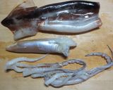 大根とイカの煮物☆作り方4写真