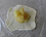 りんごで作ったプチりんご♪パイ作り方6写真