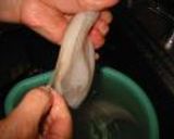 イカのさばき方(写真での説明付き)♪作り方6写真