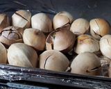 銀杏はトースターで10分作り方5写真