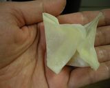 海老の揚げワンタンあんかけ作り方2写真
