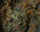 美味しいＳ＆Ｂカレーでキーマカレーを作る作り方8写真