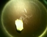 フレッシュハーブで!ディル入りオムレツ作り方2写真