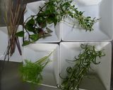色々使える♪「自家製ハーブビネガー」作り方1写真