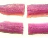 サンマの梅シソ挟み揚げ＆香味タレ作り方2写真