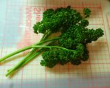 おいしいタルタルソース作り方1写真