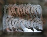 お酒に♪海老とカリフラワーのカレー炒め☆作り方4写真