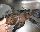 船のコック直伝！魚の煮付け作り方1写真