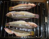 愛知の魚100選外　キュウセンの煮付け作り方3写真