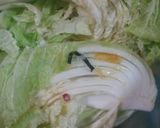 【漬物】ゆず風味のおいしい白菜漬け作り方4写真