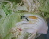 【漬物】ゆず風味のおいしい白菜漬け作り方4写真