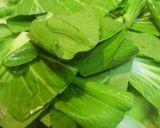 チンゲン菜とイカの中華炒め作り方6写真