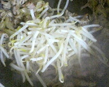 豚肉と玉ねぎともやしで簡単おかず作り方4写真