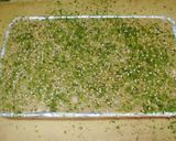 おせち　のし鶏作り方3写真