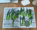 チョットさっぱり？ナムル作り方6写真