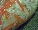 生姜でさっぱり味♬コールスロー作り方3写真