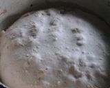 自家製酵母 ノアレザン作り方6写真