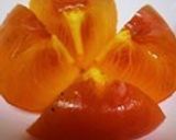 完熟柿（ずくし柿)の食べ方作り方8写真
