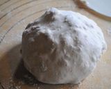 自家製酵母 ノアレザン作り方7写真