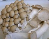 ストウブ鍋♪鶏肉＆きのこ炊き込みご飯♪作り方1写真