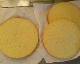 トトロの立体バースデーケーキ作り方1写真