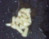 坦々麺風中華そば作り方1写真