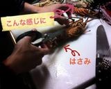 伊勢海老グリル［簡単］作り方2写真