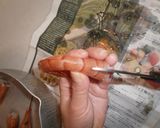 赤エビの塩焼き作り方3写真