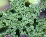 ほっこり和風♡よもぎ小豆ケーキ作り方10写真