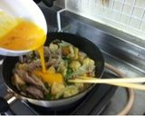 獅子座が作る豆腐チャンプルー作り方9写真
