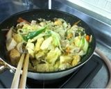 獅子座が作る豆腐チャンプルー作り方10写真