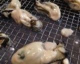 ふっくら旨い！牡蠣の70℃蒸し作り方4写真