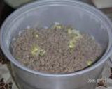 韓国風もやしと牛肉の炊き込みご飯作り方7写真