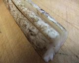 Myササガキでゴボウ茶作り作り方2写真