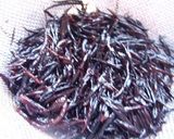 新生姜風味お茶漬けの素作り方1写真