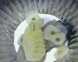 旨おつまみ❀牡蠣のガーリックバター焼き❀作り方3写真