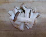 鮭と野菜のレンジ蒸し作り方3写真
