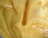 シュー生地を失敗なく焼こう!作り方8写真